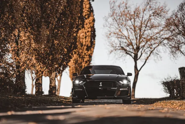 Fbet Kaszinó Android/iOS Alkalmazás